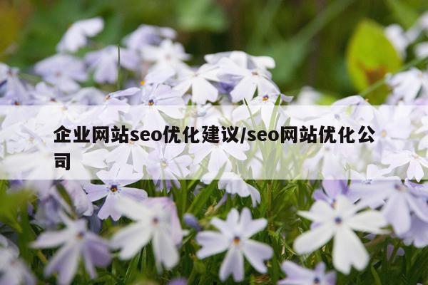 企业网站seo优化建议/seo网站优化公司