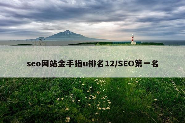 seo网站金手指u排名12/SEO第一名