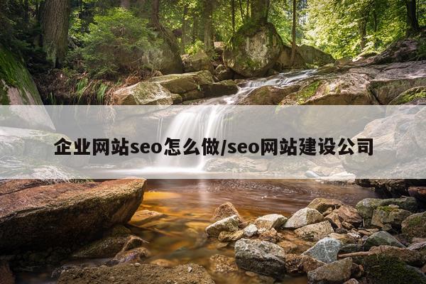 企业网站seo怎么做/seo网站建设公司