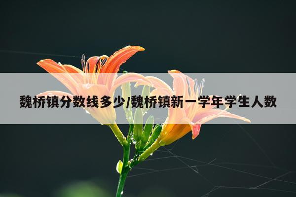 魏桥镇分数线多少/魏桥镇新一学年学生人数