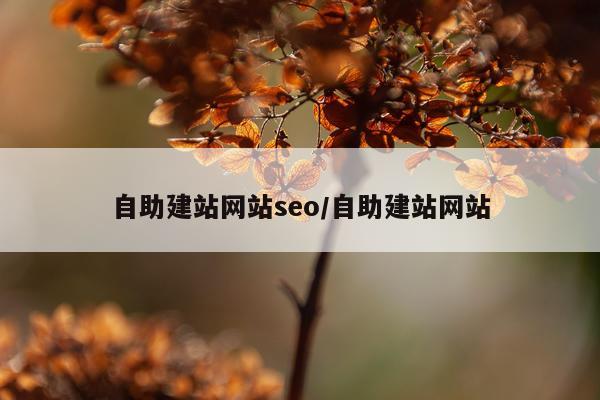 自助建站网站seo/自助建站网站