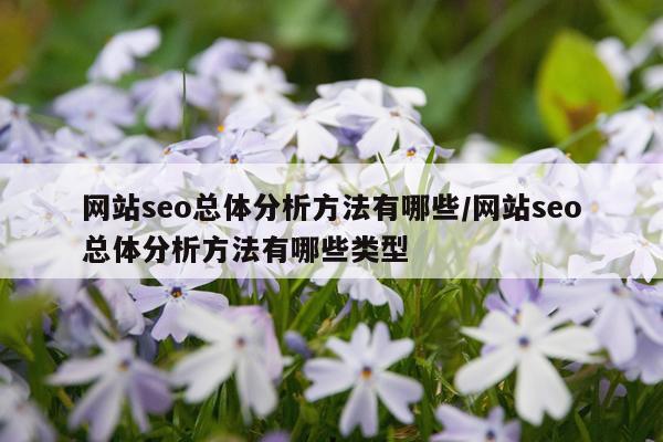网站seo总体分析方法有哪些/网站seo总体分析方法有哪些类型