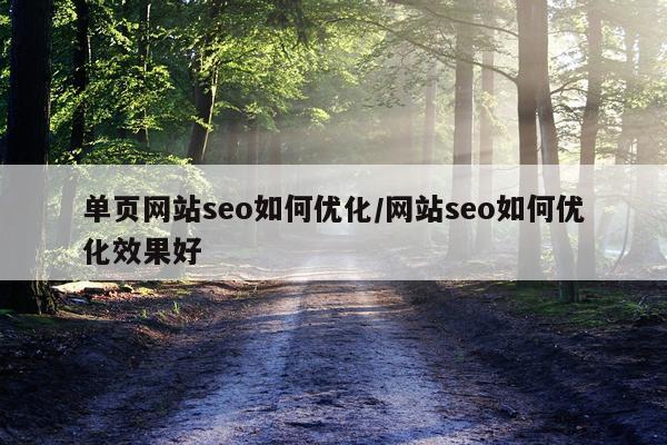 单页网站seo如何优化/网站seo如何优化效果好
