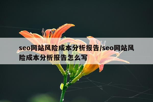seo网站风险成本分析报告/seo网站风险成本分析报告怎么写
