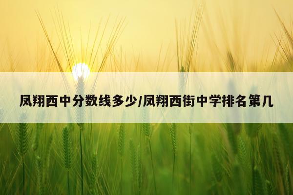凤翔西中分数线多少/凤翔西街中学排名第几