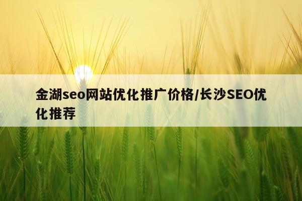 金湖seo网站优化推广价格/长沙SEO优化推荐