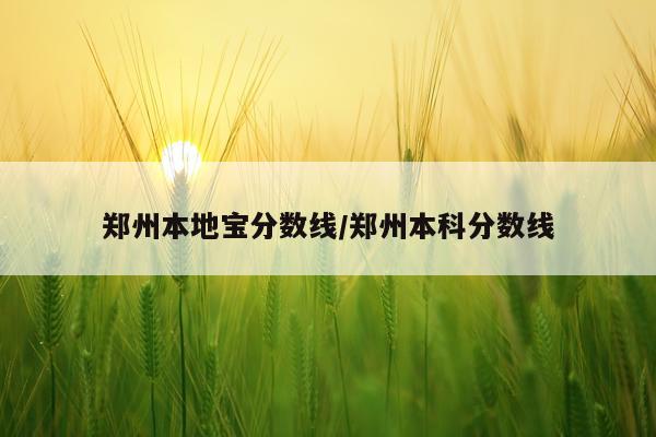 郑州本地宝分数线/郑州本科分数线