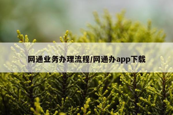 网通业务办理流程/网通办app下载