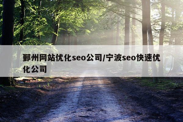 鄞州网站优化seo公司/宁波seo快速优化公司