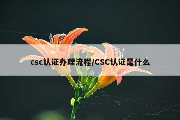 csc认证办理流程/CSC认证是什么