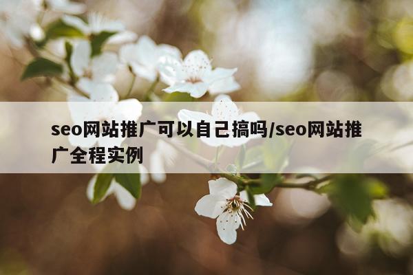 seo网站推广可以自己搞吗/seo网站推广全程实例