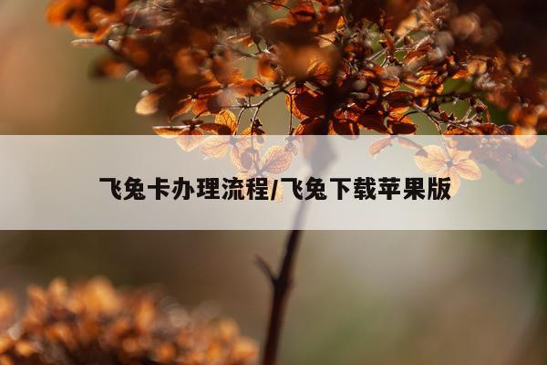 飞兔卡办理流程/飞兔下载苹果版