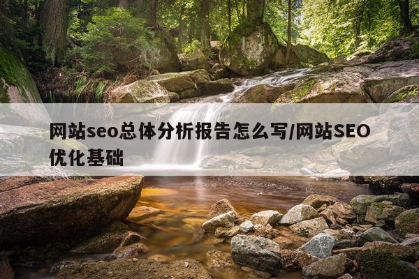 网站seo总体分析报告怎么写/网站SEO优化基础