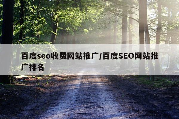 百度seo收费网站推广/百度SEO网站推广排名
