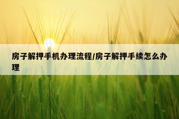 房子解押手机办理流程/房子解押手续怎么办理