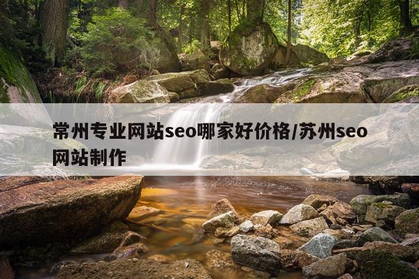 常州专业网站seo哪家好价格/苏州seo网站制作