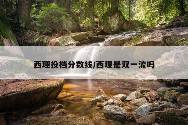 西理投档分数线/西理是双一流吗
