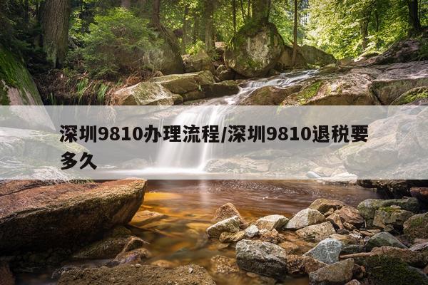 深圳9810办理流程/深圳9810退税要多久