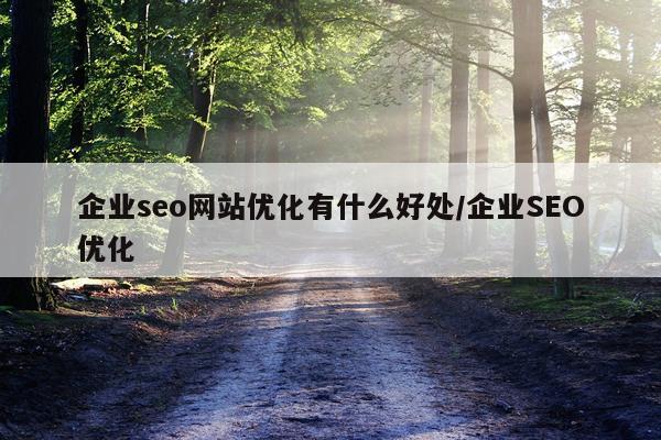 企业seo网站优化有什么好处/企业SEO优化