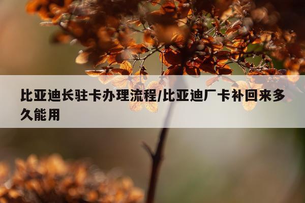比亚迪长驻卡办理流程/比亚迪厂卡补回来多久能用