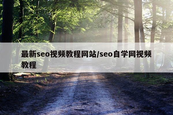 最新seo视频教程网站/seo自学网视频教程