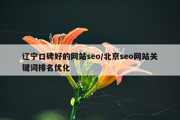 辽宁口碑好的网站seo/北京seo网站关键词排名优化