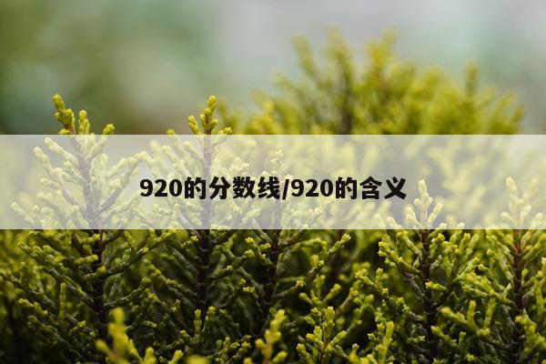 920的分数线/920的含义