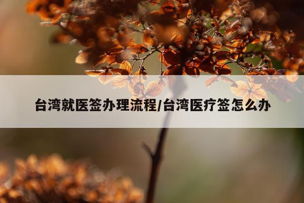 台湾就医签办理流程/台湾医疗签怎么办