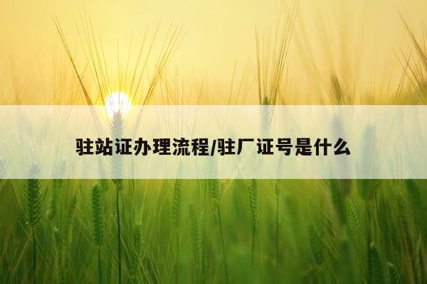 驻站证办理流程/驻厂证号是什么