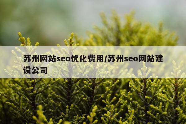苏州网站seo优化费用/苏州seo网站建设公司
