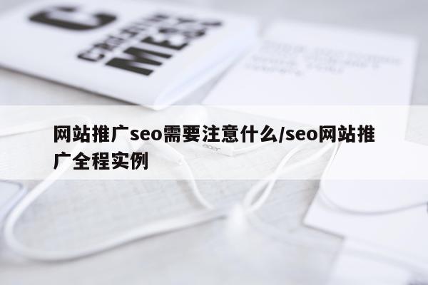 网站推广seo需要注意什么/seo网站推广全程实例