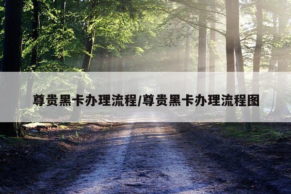 尊贵黑卡办理流程/尊贵黑卡办理流程图