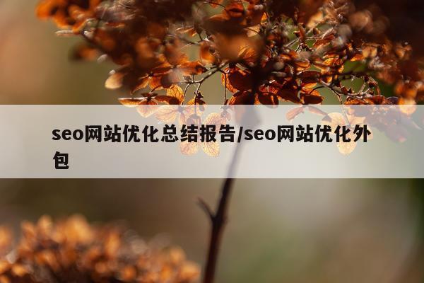 seo网站优化总结报告/seo网站优化外包