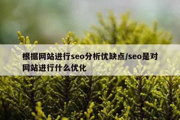 根据网站进行seo分析优缺点/seo是对网站进行什么优化
