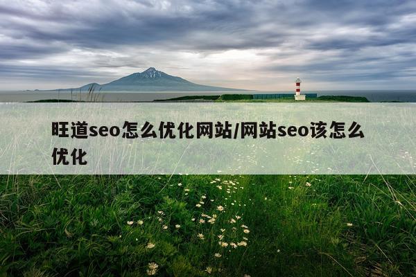 旺道seo怎么优化网站/网站seo该怎么优化