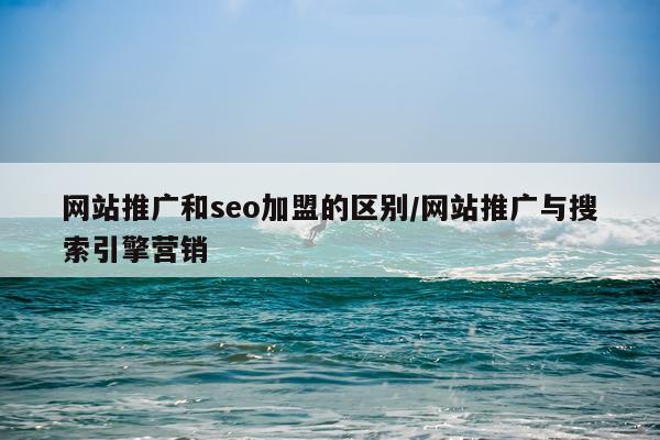 网站推广和seo加盟的区别/网站推广与搜索引擎营销