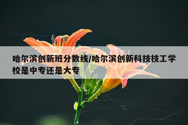 哈尔滨创新班分数线/哈尔滨创新科技技工学校是中专还是大专