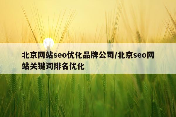 北京网站seo优化品牌公司/北京seo网站关键词排名优化
