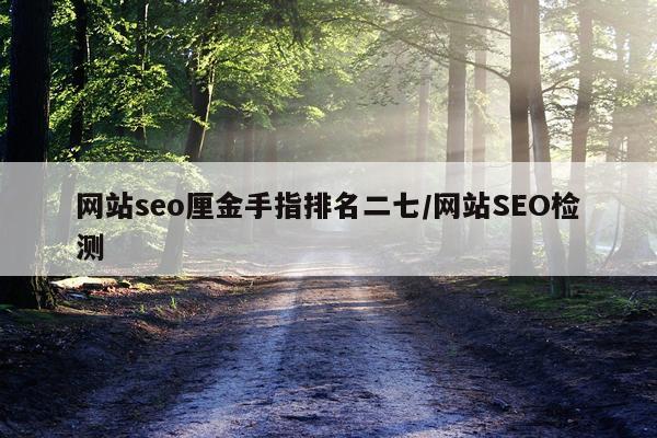 网站seo厘金手指排名二七/网站SEO检测