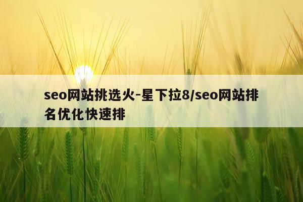 seo网站挑选火-星下拉8/seo网站排名优化快速排
