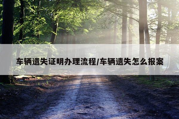 车辆遗失证明办理流程/车辆遗失怎么报案