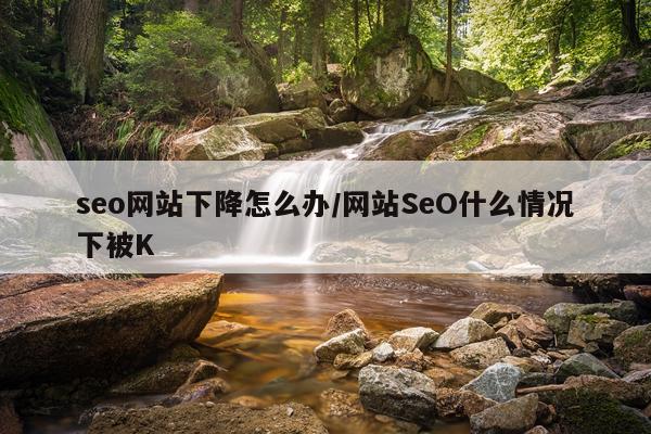 seo网站下降怎么办/网站SeO什么情况下被K