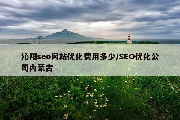 沁阳seo网站优化费用多少/SEO优化公司内蒙古