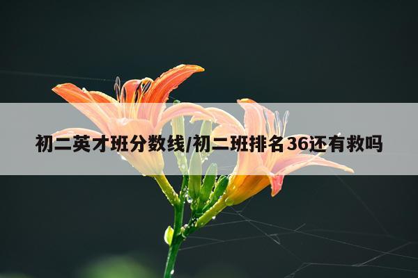 初二英才班分数线/初二班排名36还有救吗