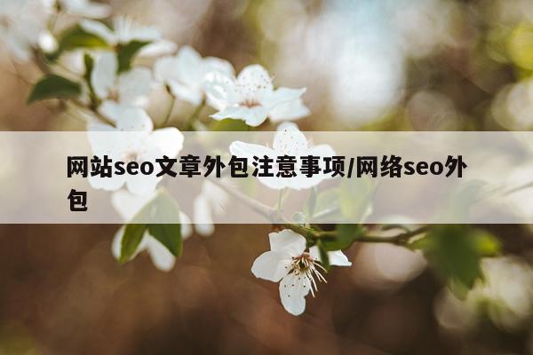 网站seo文章外包注意事项/网络seo外包