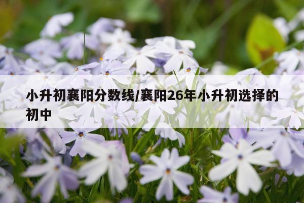 小升初襄阳分数线/襄阳26年小升初选择的初中