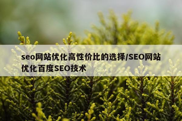 seo网站优化高性价比的选择/SEO网站优化百度SEO技术