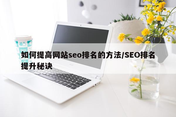 如何提高网站seo排名的方法/SEO排名提升秘诀