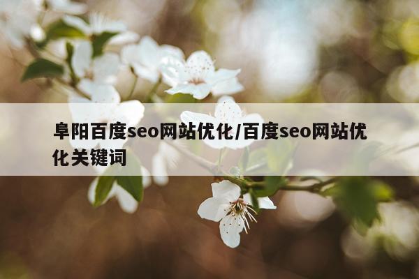 阜阳百度seo网站优化/百度seo网站优化关键词
