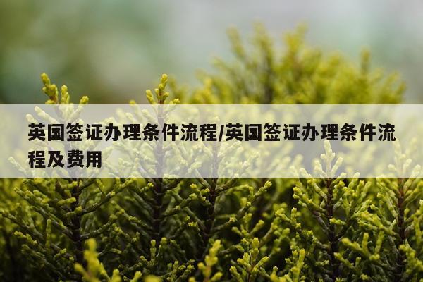 英国签证办理条件流程/英国签证办理条件流程及费用